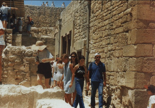 savvas20.gif (205290 bytes)